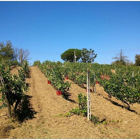 Agriturismo San Giusto Montiano  Eksteriør bilde