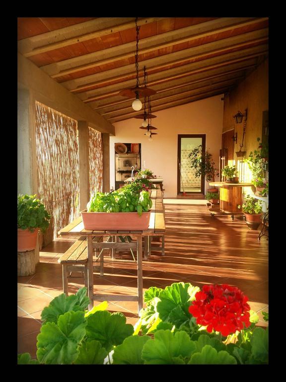 Agriturismo San Giusto Montiano  Eksteriør bilde
