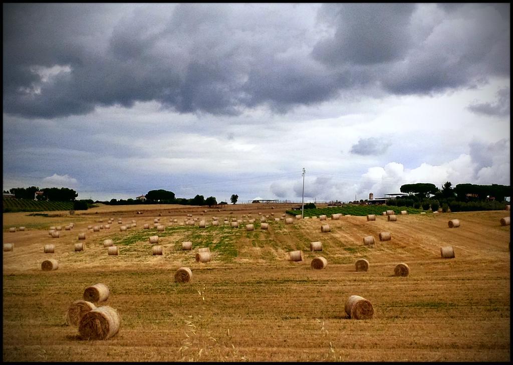 Agriturismo San Giusto Montiano  Eksteriør bilde